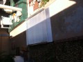 photo-jan-29-12-01-49-pm