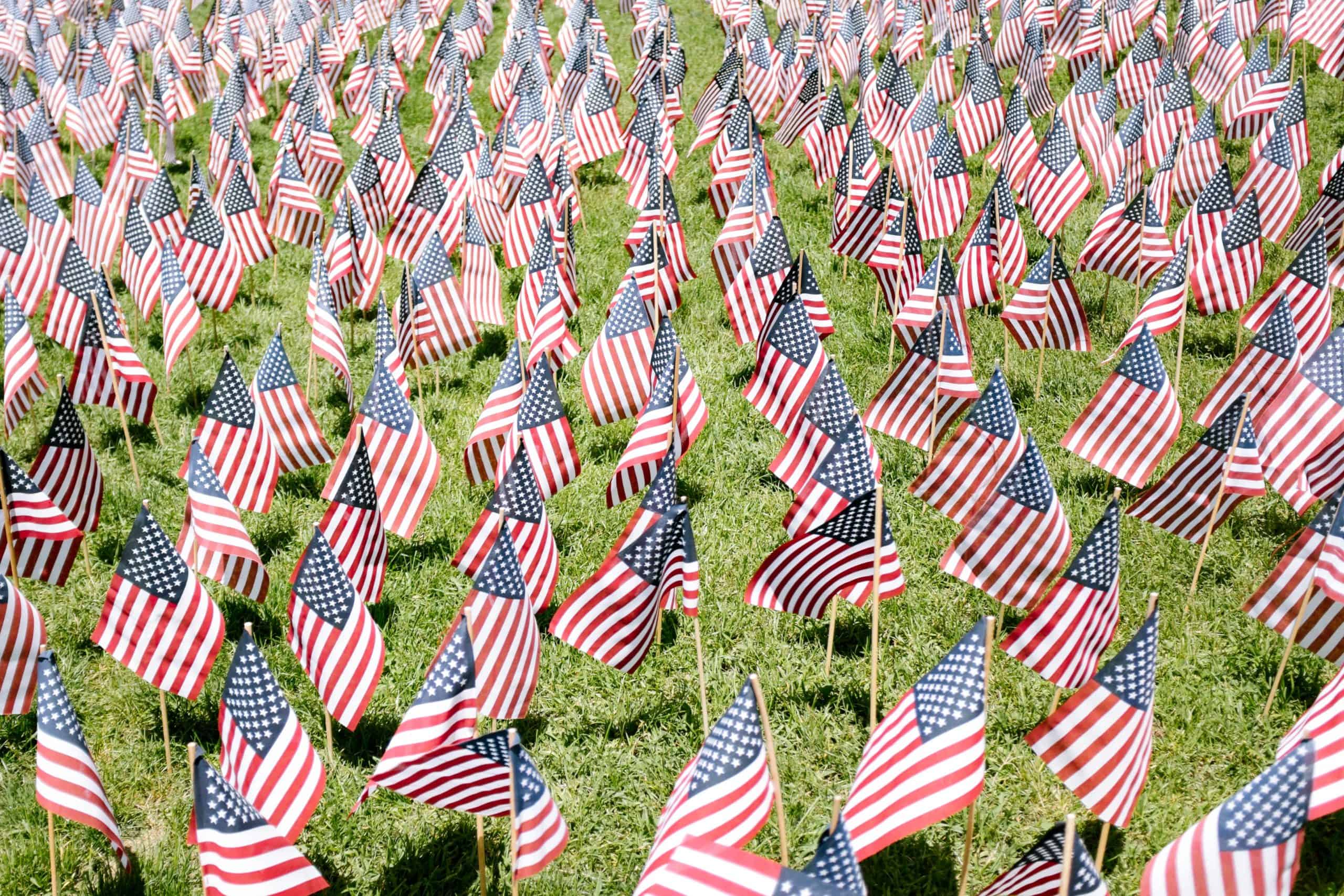 field of US flags